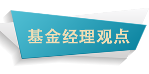 基金經(jīng)理觀(guān)點(diǎn).png
